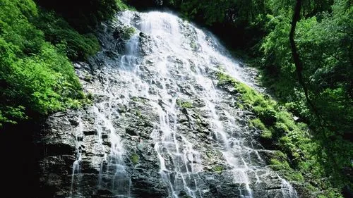 稳定性环保先进